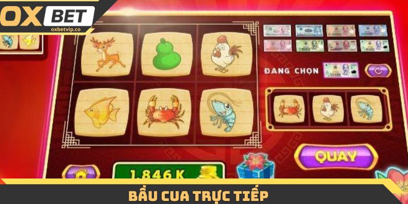 bầu cua trực tiếp