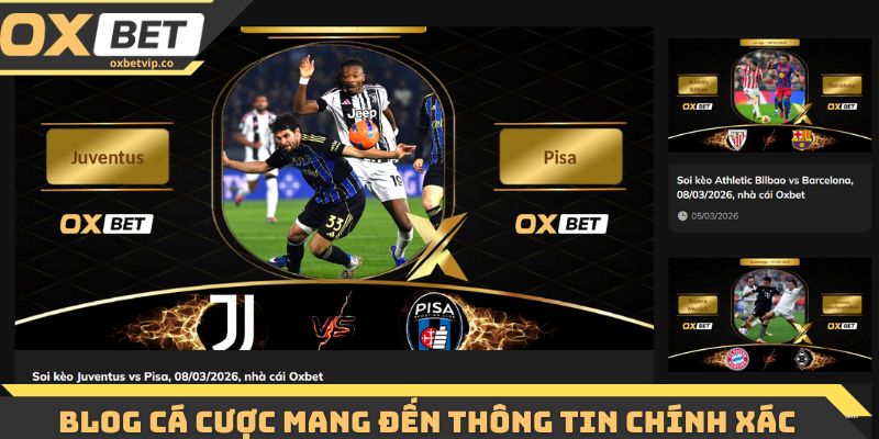 Blog cá cược mang đến kho dữ liệu và thông tin chính xác