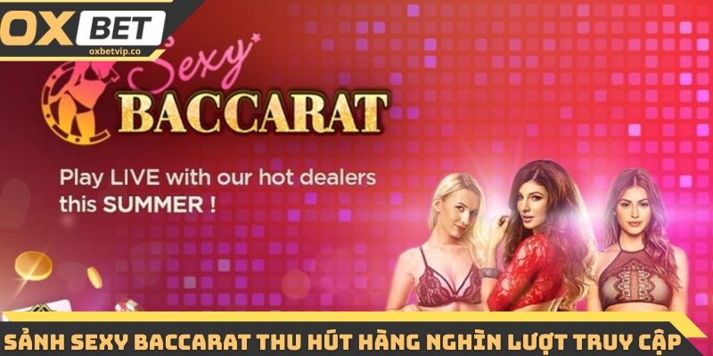 Sảnh sexy baccarat thu hút hàng nghìn lượt truy cập 